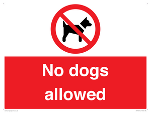 No dogs allowed